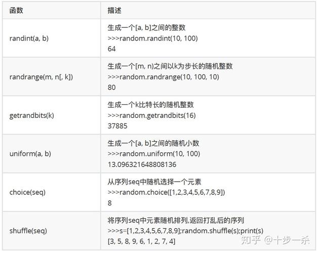 随机编程语言选择