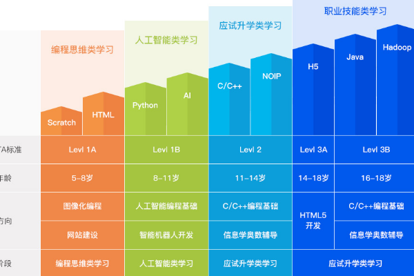 算法编程