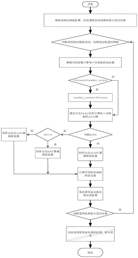 鲸桥编程郑州