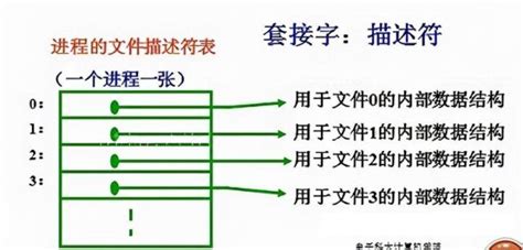 《javascriptdom编程艺术》