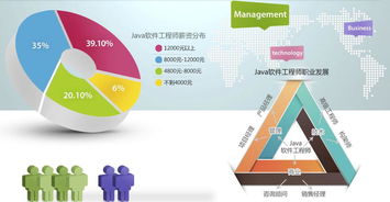 企业编程有哪些项目