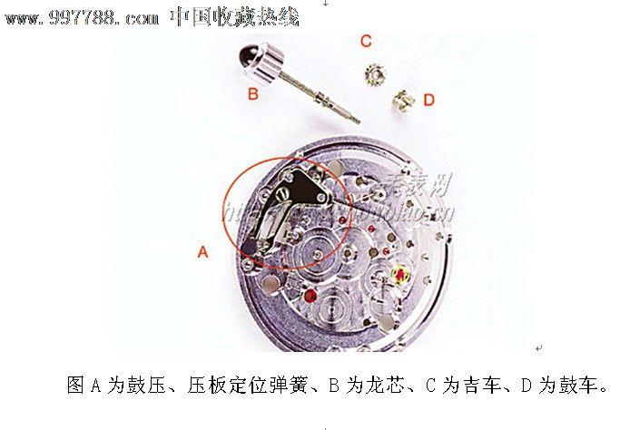 手表表带各个部位名称图