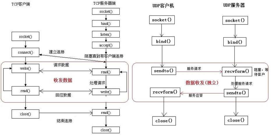 linuxc  网络编程