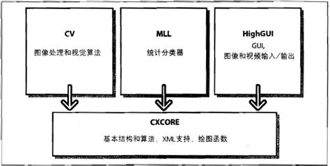 Vector编程笔记