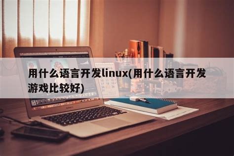 学软件先学什么编程语言比较好