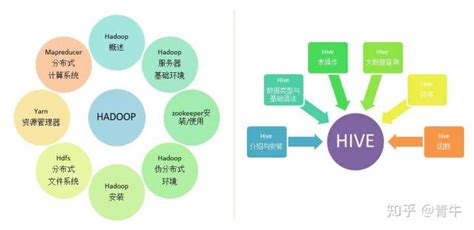 大数据与应用统计哪个专业好