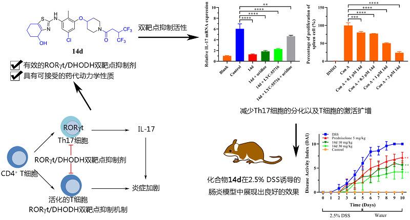 sci.】新靶点!同济大学医学院研究团队发现癌症潜在治疗方案1天前